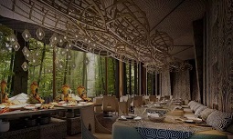 树屋精品度假酒店设计-森林的精灵